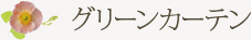 グリーンカーテン